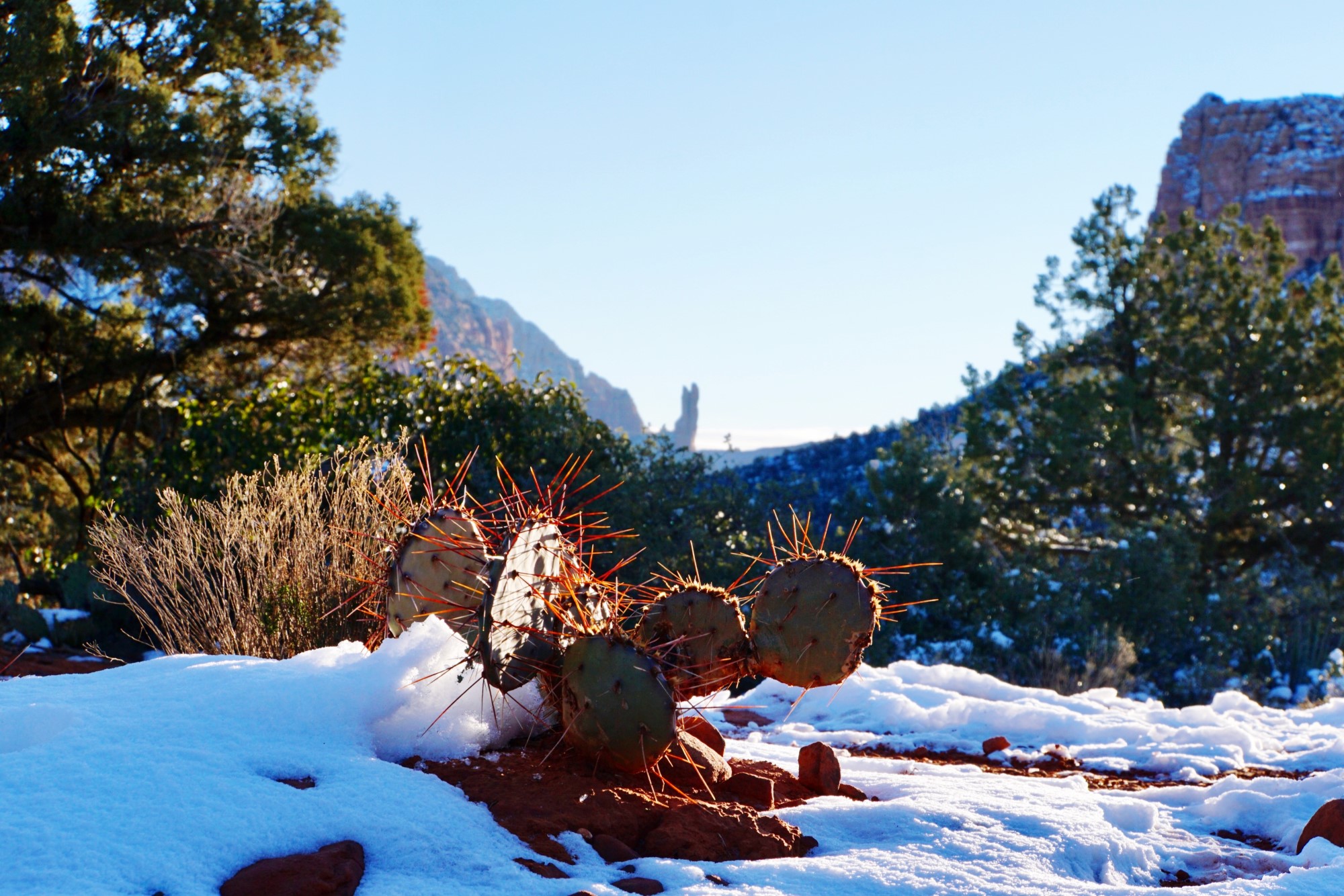 2024 Family-Friendly Holiday Events in Northern Arizona