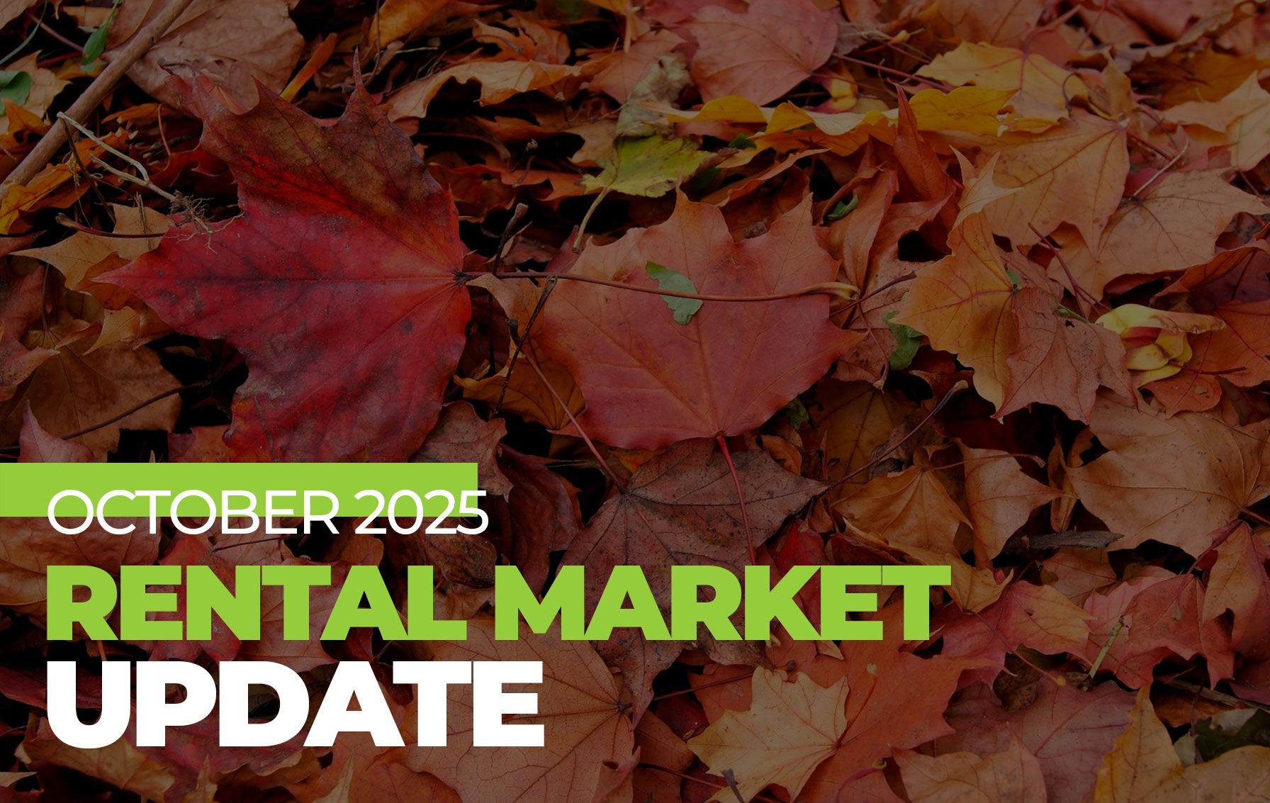 October Rental Market Update: Northern Arizona - UnlimitedREAZ ...