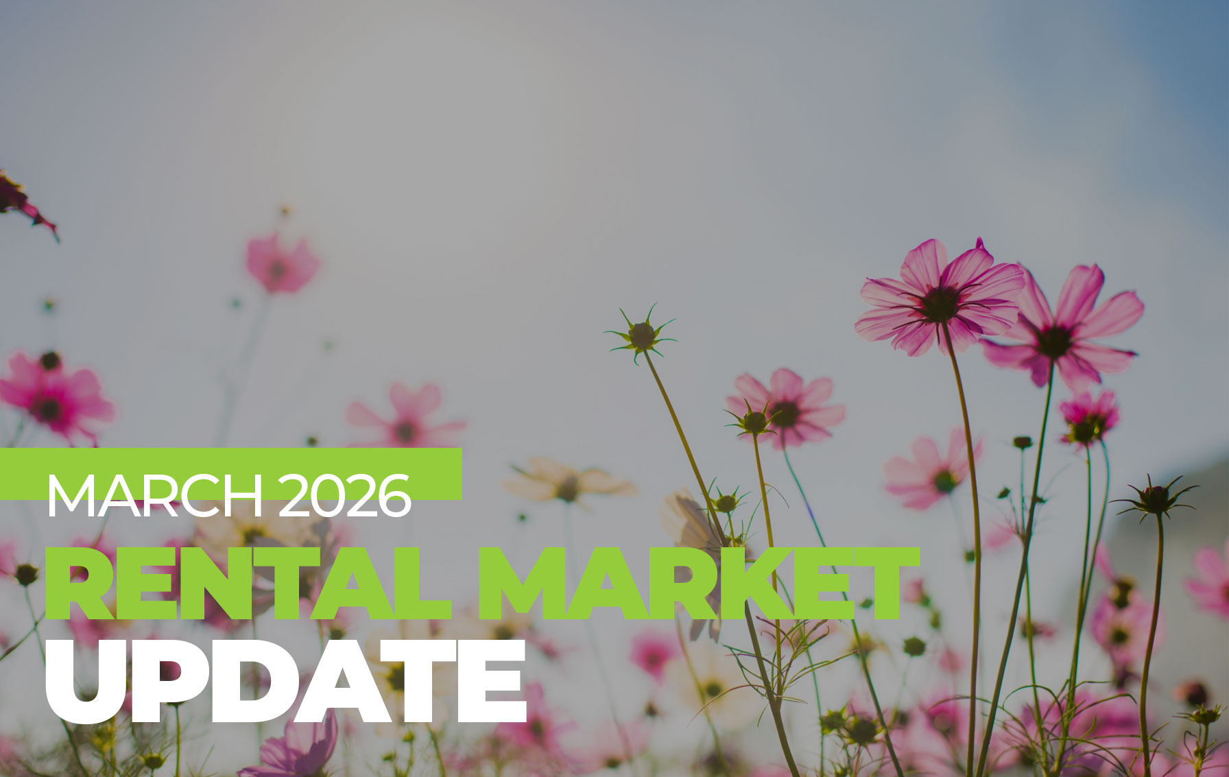 March 2026 Spring Rental Market Update: Northern Arizona